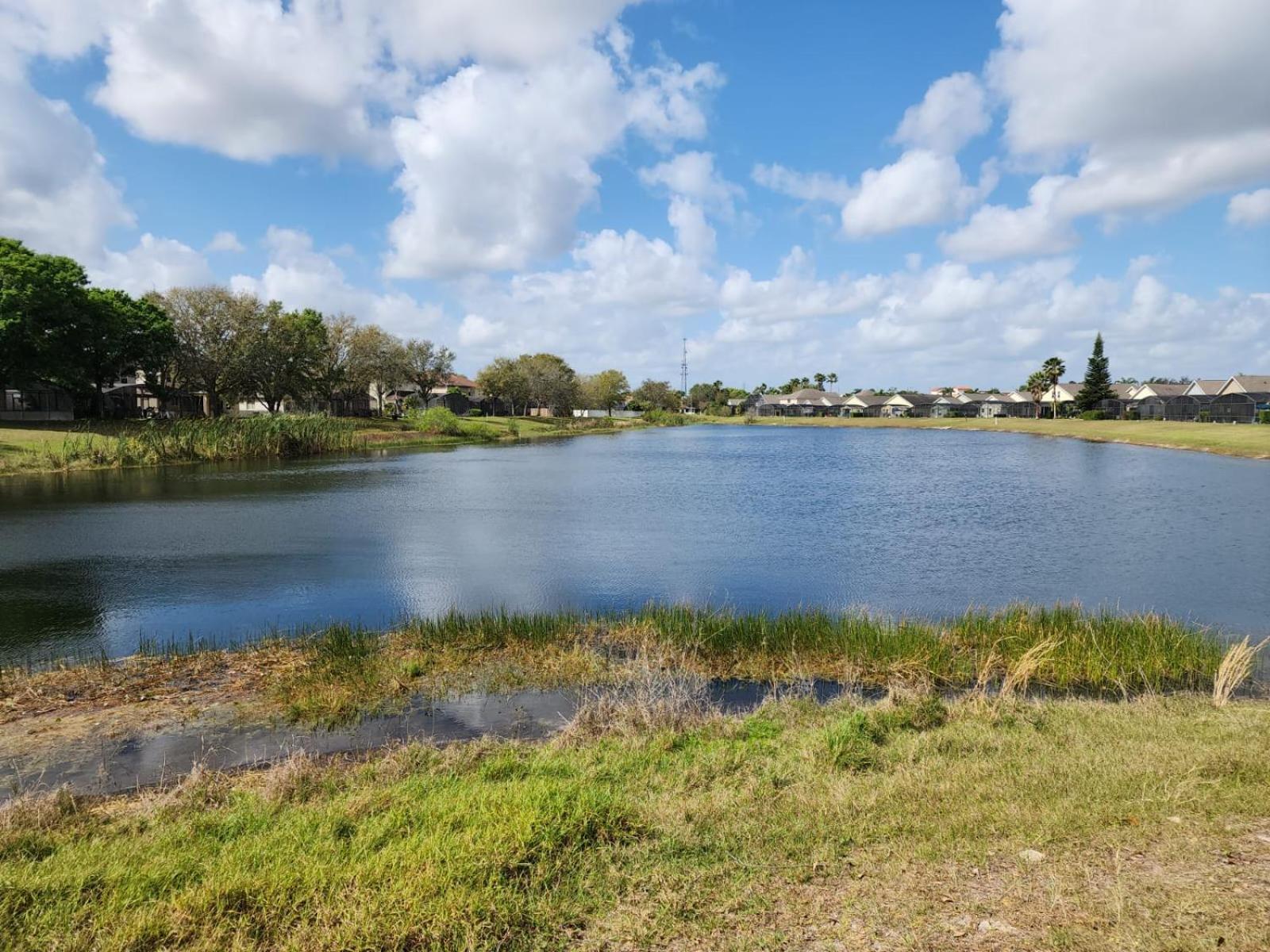 Triton Vacation Pool Home Near Disney Orlando Bagian luar foto